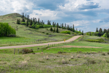 A road in Cypress Hills Interprovincial Park, Saskatchewan