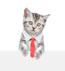 Smart cat wearing necktie looking above empty white banner. isolated on white background