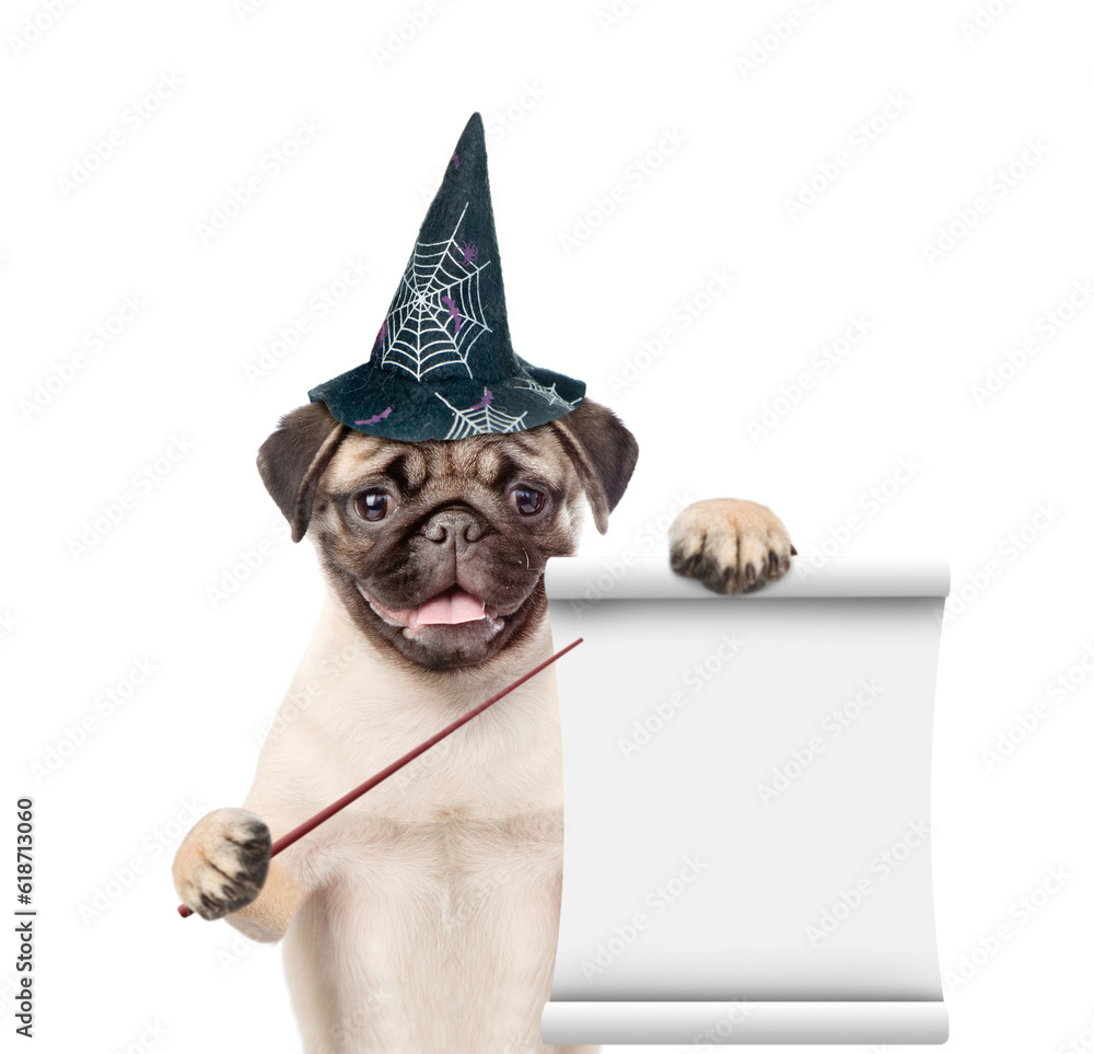 Poster pug puppy with hat for halloween shows empty list. isolated on white background