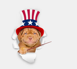 Happy Mastiff puppy wearing like Uncle Sam looking through a hole in paper and points away on empty space. isolated on white background
