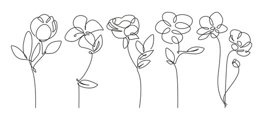 Abstract Flowers Set Black Sketch Isolated on White Background. Floral Illustrations Set. Simple Flowers Minimalist Botanical Drawing. Vector EPS 10. 