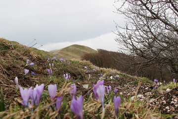 Colori tra le nuvole
