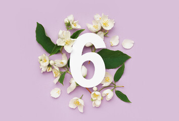 Green leaves and white flowers with paper number six on lilac background