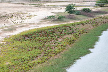River side open land in India
