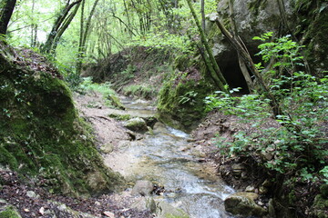 Torrente di montagna