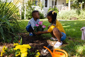 African american brother and sister planting fresh flowers on grassy land in yard outside house