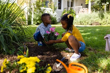 Fotobehang African american brother and sister planting fresh flowers on grassy land in yard outside house © WavebreakMediaMicro