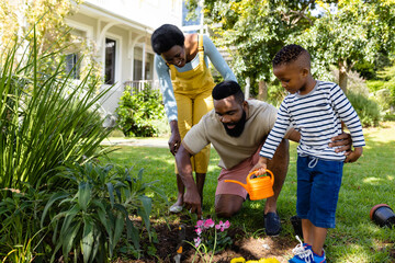 African american mother looking at father and son planting fresh flowers on land in yard