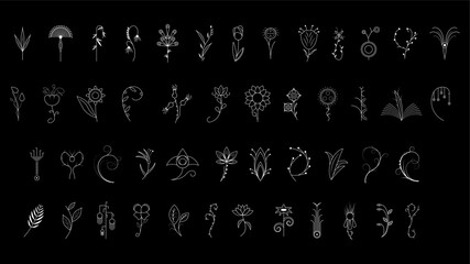 Big Abstract Set Doodle Elements Hand Drawn Collection Botanic Herbal Flora Leaf Branch Vine Flower Plant Elements F Vector Desgin Style