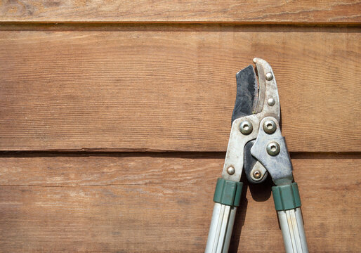 Garden lopper on wood background. Gardening tool texture. Well used strong telescopic extendable garden pruner or shears. Used to prune, cut or trim branches and twigs. Selective focus.