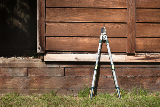 Telescopic lopper with garden shed background. Gardening tool used to prune, cut or trim branches and twigs from tress and bushes. Extendable garden pruner or shears.  Selective focus.