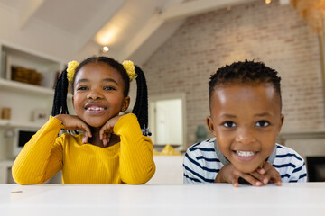 Happy african american sister and brother making video call at home