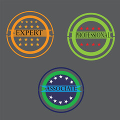 Badge illustration,  symbol,  graphic, design vector