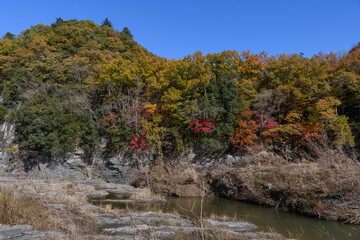 秋の長瀞の岩畳