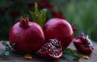 Red pomegranate fruit