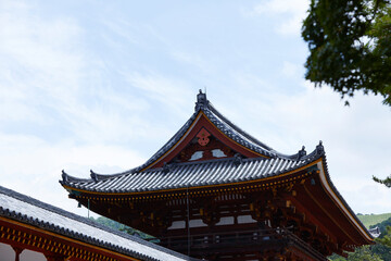 Fototapeta na wymiar Japanese shrine roof, Japan travel