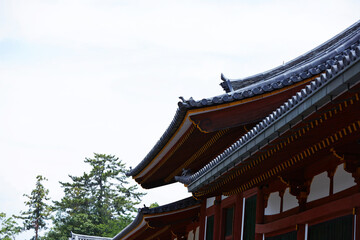 Japanese traditional shrine, Japan travel