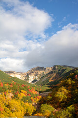 紅葉の山頂
