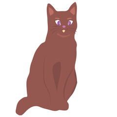Cat sitting