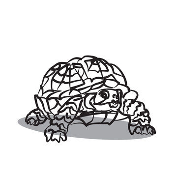 Vector illustration of turtle with brush tool style isolated on white