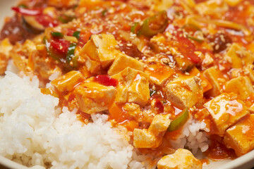 Mapo Tofu with Rice