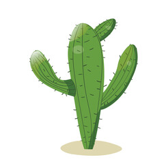 Tall succulent cactus with thorns isolated element. Vector drawing illustration for icon, game, packaging, banner. Wild west, western, cowboy concept