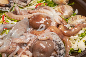 haemultang, Octopus and seafood soup 