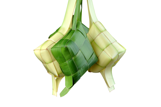 Close-up ketupat transparent background isolated object