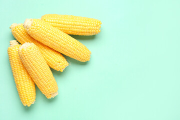 Fresh corn cobs on turquoise background