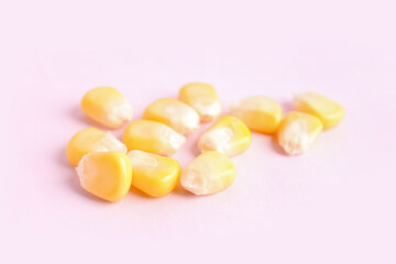 Fresh corn seeds on pink background