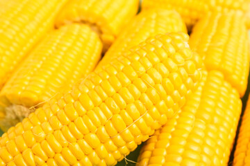 Texture of fresh corn cobs as background