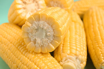 Fresh corn cobs on blue background, closeup
