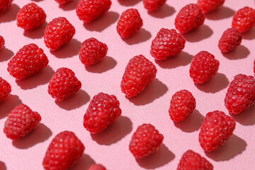 Many fresh raspberries on pink background