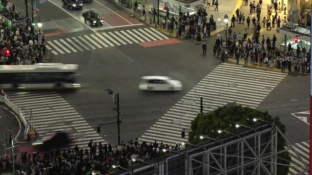 SHIBUYA, TOKYO, JAPAN : Aerial time lapse view of Shibuya crossing at night. Crowd of people walking at the crossing in busy rush hour. Japanese people and urban city nightlife concept 4K video.