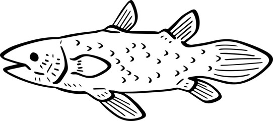 cartoon fish drawing illustration.