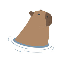 capybara single 39 PNG
