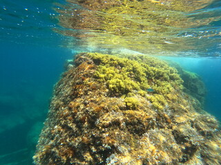 Cala Golfet, Calella de Palafrugell, Cataluña., España