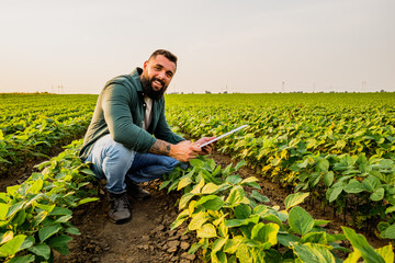 Portrait of farmer who is cultivating soybean. He is satisfied with good progress of plants. Agricultural occupation. - obrazy, fototapety, plakaty