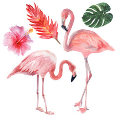 Watercolor illustration on the theme of tropical nature and beach holidays. Flamingos and exotic flowers.