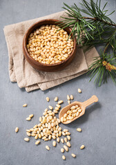 Pine nuts in a bowl  and a scattered on a blue background with branches of pine needles. The...