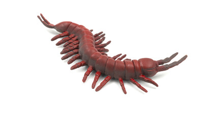 Toy orange centipede, isolated on white background