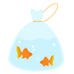 水が入ったビニール袋の中を泳ぐ金魚