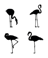 Vector flat flamingo silhouette isolated on white background