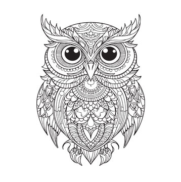 Hand drawn Owl Mandala for anti stress Coloring Page with high details, illustration in zentangle style. Vector monochrome sketch. Mural art. Bird collection
