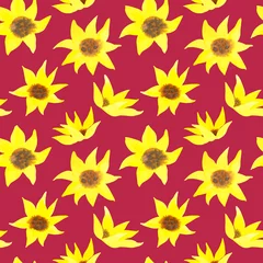 Keuken spatwand met foto Seamless pattern of watercolor yellow sunflowers. Hand drawn illustration. Botanical hand painted floral elements on Viva Magenta background. © Nataliia