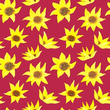 Seamless pattern of watercolor yellow sunflowers. Hand drawn illustration. Botanical hand painted floral elements on Viva Magenta background. © Nataliia