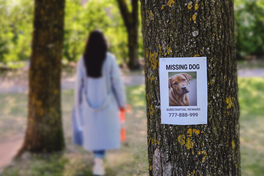 A woman with a leash is looking for a lost pet by putting up posters in the park.
