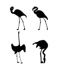 Vector flat flamingo silhouette isolated on white background