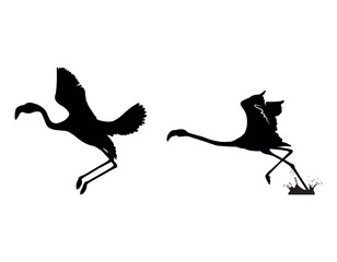 Vector flat flamingo silhouette isolated on white background