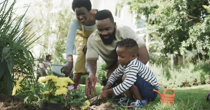 Happy african american couple with son planting flowers in sunny garden, slow motion